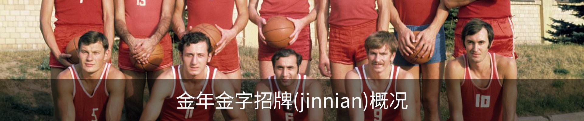 金年金字招牌(jinnian)概况
